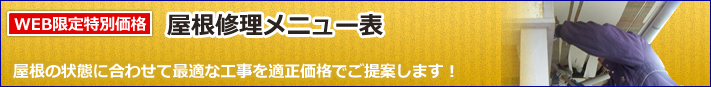 シノツカの屋根修理メニュー表