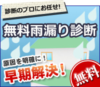 シノツカの雨漏り診断