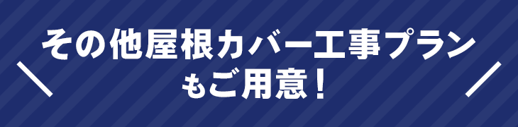 その他屋根カバー工事プランもご用意！